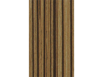 3855-ǳ������